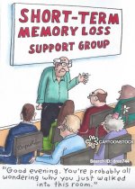 health-beauty-unwrapped-memory_loss-support_groups-memories-short_term-dren744_low.jpg