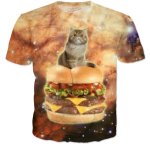 cat-and-cheeseburger.jpg