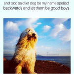 and-god-said-let-dog-be-my-name-spelled-backwards-30991462.png