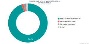 chart-ethnic-diversity_xl.png