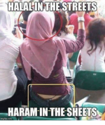 halal-in-the-streets-haram-in-the-sheets-2496886.png