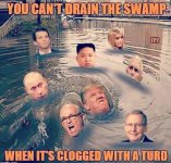 swamp.JPG