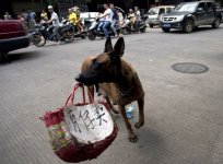 _83890825_dogprotest_afp976.jpg