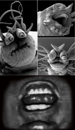 deep sea worms.jpg