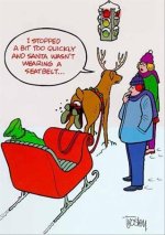 funny-christmas-pictures-14.jpg