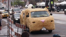 bunnycar.jpg