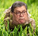 Barr toad.jpg