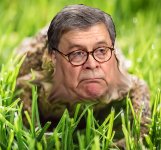 Barr toad_sm.jpg