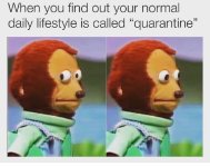 quarantine+lifestyle.jpg