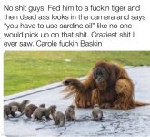 orangutan otters.jpg