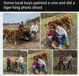 tigerkings.png