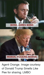 bond-james-bond-moron-fucking-moron-agent-orange-image-courtesy-38896693.png