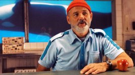 bill-murray-22the-life-aquatic-with-steve-zissou22.jpg