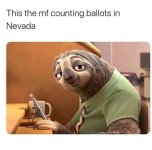 nevada sloth.jpg