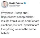 pakman.jpg