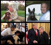 presidents_dogs.jpg
