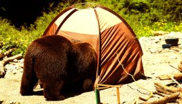 9-Reasons-Camping-Is-for-Crazy-People.jpg