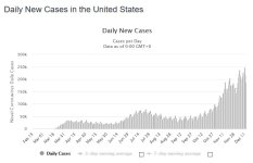 cases12-13.JPG