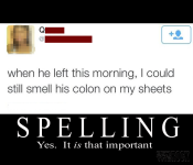 colon-sheets.png