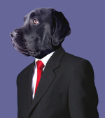 mr roger bowser._Dog-in-Suit.png