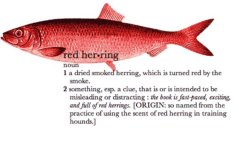 red herring.JPG