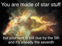 star stuff rent due.jpg