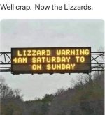 lizzards.jpg