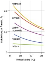 CNX_Chem_11_03_gasdissolv 2.jpg