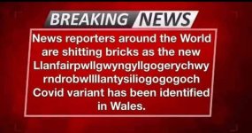 welsh.jpg