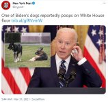 biden dog poop.JPG