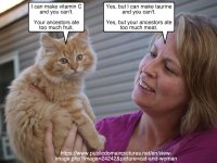 Cat and Woman on Vitamins.jpg