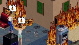 sims-house-burning.jpg