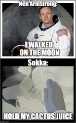 sokka moon.jpg