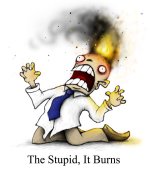 the_stupid__it_burns_by_plognark_d24tfbh-fullview.jpg