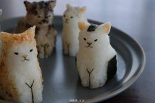 onigiri cats.jpg