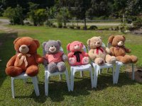 stuffed-teddy-bears-on-chairs-in-lawn-953217706-07ec83223e4547f5ac593620ffbdc2d1.jpg