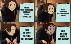 in love with a cat.jpg