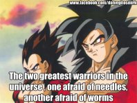 dragonball greatest fears.jpg