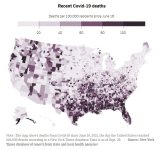 map covid deaths since june 2021.JPG