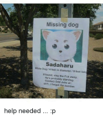 missing-dog-white-sadaharu-dog-4-feet-in-diameter-19-6881841.png
