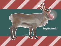 rudolph last.png
