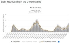 us covid deaths worldometer.JPG
