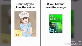 cells work.jpg