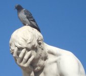 pigeon-statue-12.jpg
