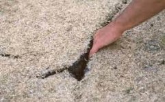 crack in cricket pitch.jpg