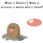 diglett nose.jpg