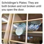 packaged-goods-schrödingers-plates-they-are-both-broken-and-not-broken-until-open-door.jpg