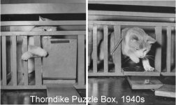 Thornedicke-puzzle.jpg