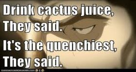 cactus juice.jpg