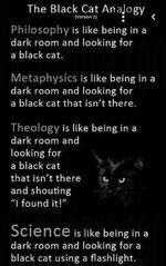 Black Cat Anology.jpg